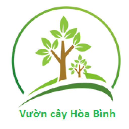 Dịch vụ cây trồng tại Hà Nội